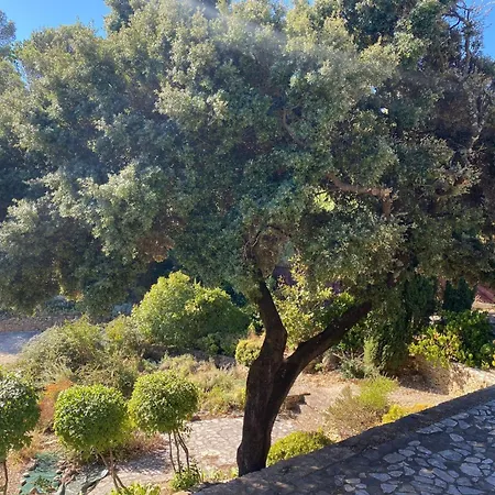 In Der Provence- Aussergewoehnliche Villa- Okzitanien- Gard By Interhome Bagnols-sur-Cèze