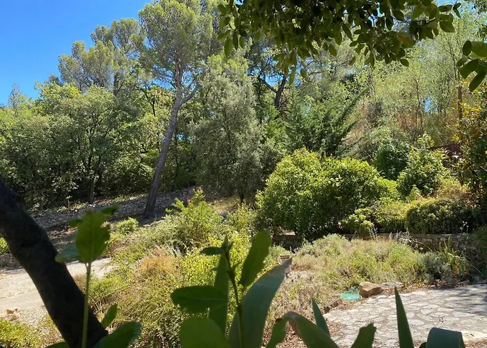In Der Provence- Aussergewoehnliche Villa- Okzitanien- Gard By Interhome